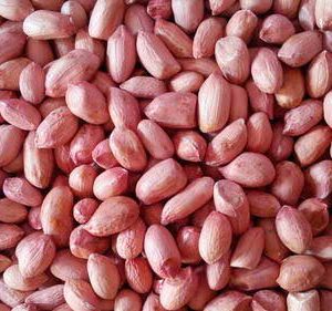 PEANUT