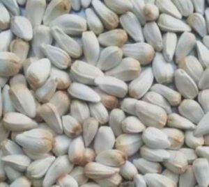 SUNFLOWER SEED