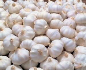 Fresh garlic