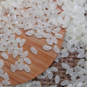 Japonica rice