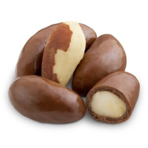 BRAZIL NUTS