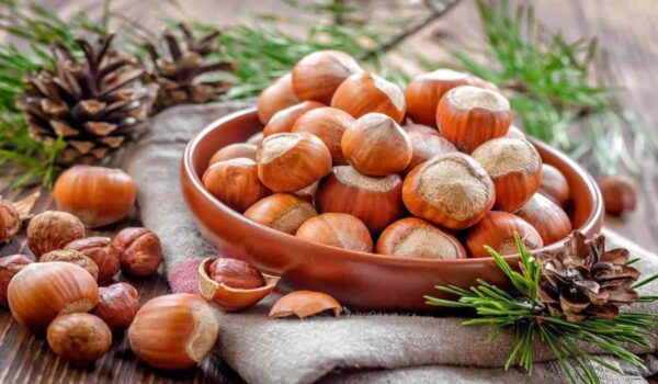 HAZELNUTS