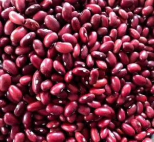 RED KIDNEY BEANS