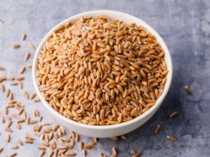 Wheat