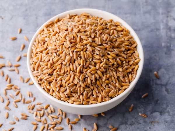 Wheat