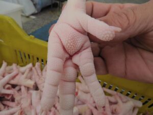 Chicken Feet